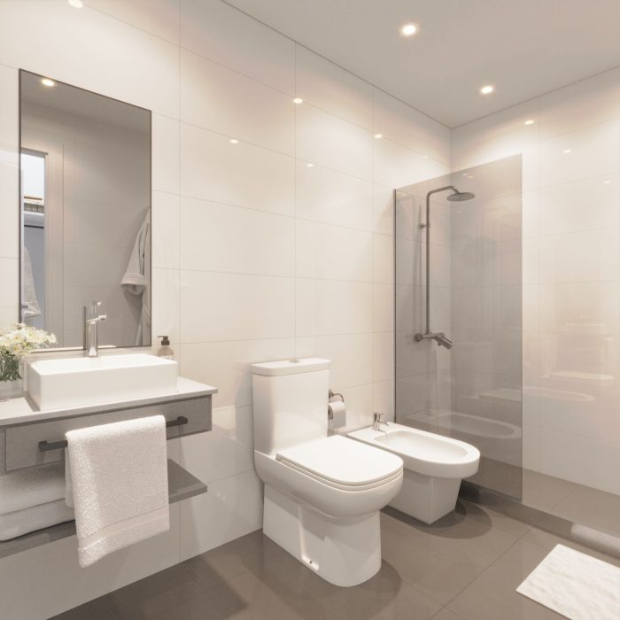 Render baño